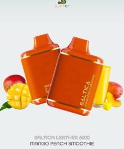 SALTICA-LEATHER-6000-DISPOSABLE-MANGO-PEACH-SMOOTHIE