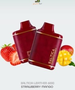 SALTICA-LEATHER-6000-DISPOSABLE-STRAWBERRY-MANGO