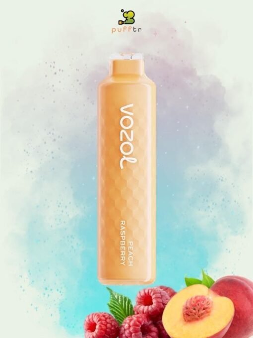 VOZOL-ALIEN-4000-DISPOSABLE-PEACH-RASPBERRY