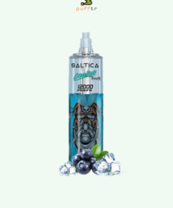 saltica-cyberpunk-12000-disposable-blueberry-ice