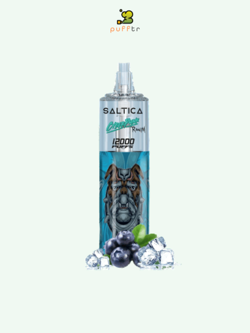 saltica-cyberpunk-12000-disposable-blueberry-ice