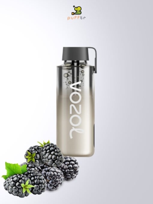 Vozol-Neon-10000-Puff-Blackberry-Storm