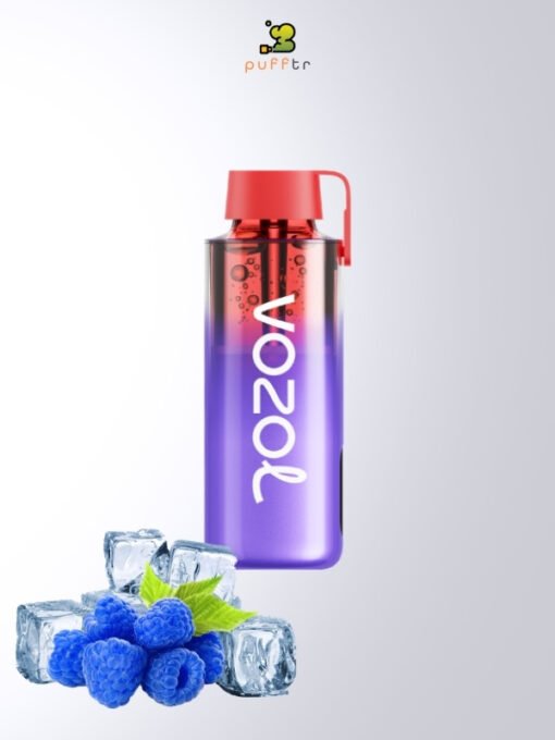 Vozol-Neon-10000-Puff-Blue-Razz-Ice