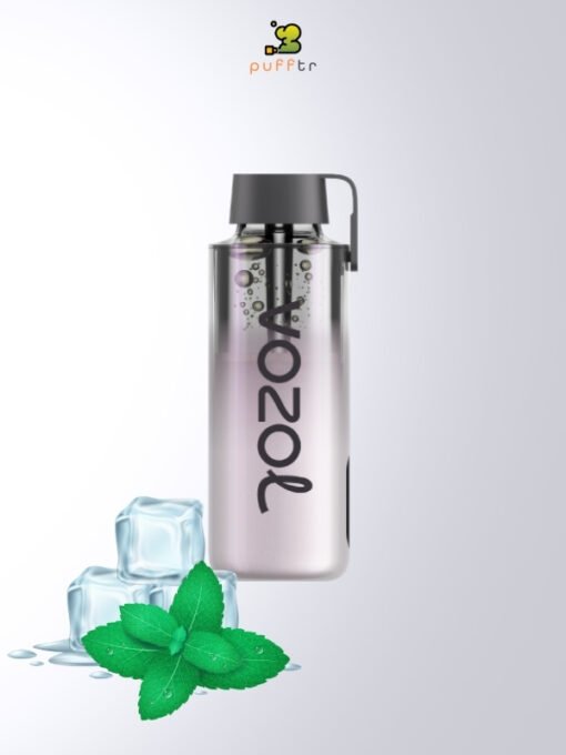 Vozol-Neon-10000-Puff-Cool-Mint