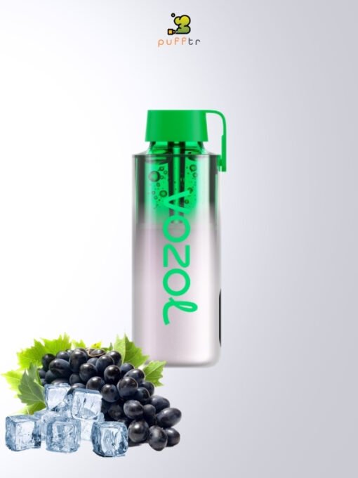 Vozol-Neon-10000-Puff-Grape-Ice