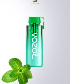 Vozol-Neon-10000-Puff-Miami-Mint