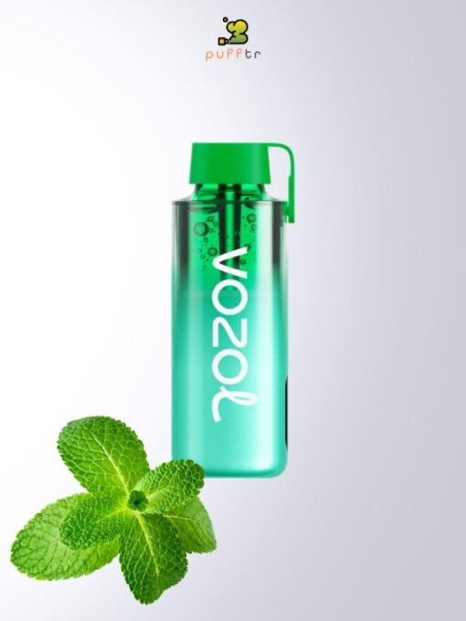 Vozol-Neon-10000-Puff-Miami-Mint